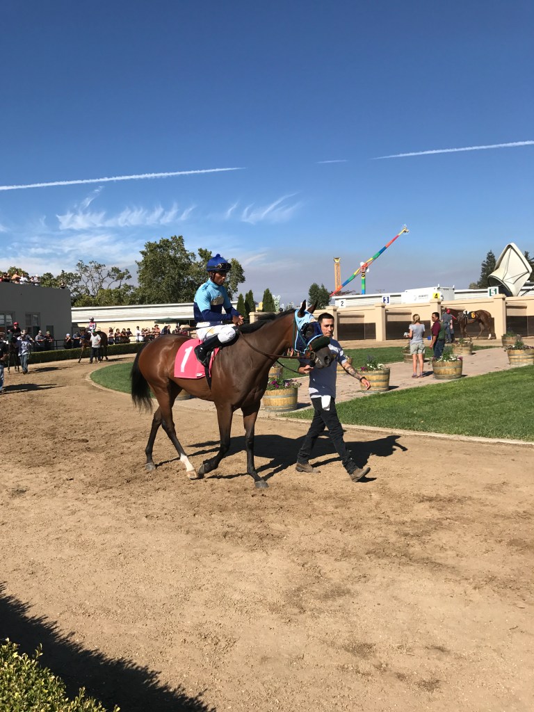 This image has an empty alt attribute; its file name is tomlin-1.jpg